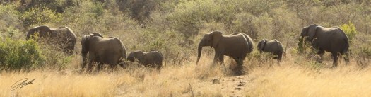 20130727 - CS3_9931 - E - SIG