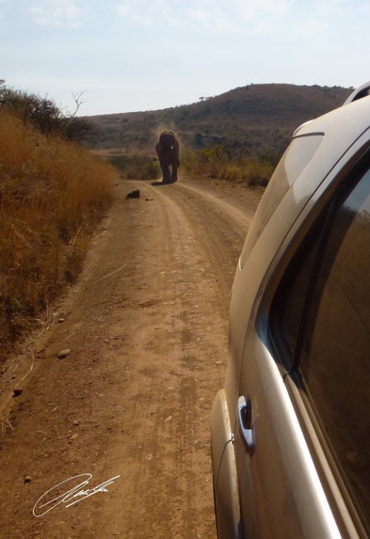 20130727 - P1020966 - E - SIG