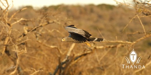 20130731 - CS3_0483 - E - SIG