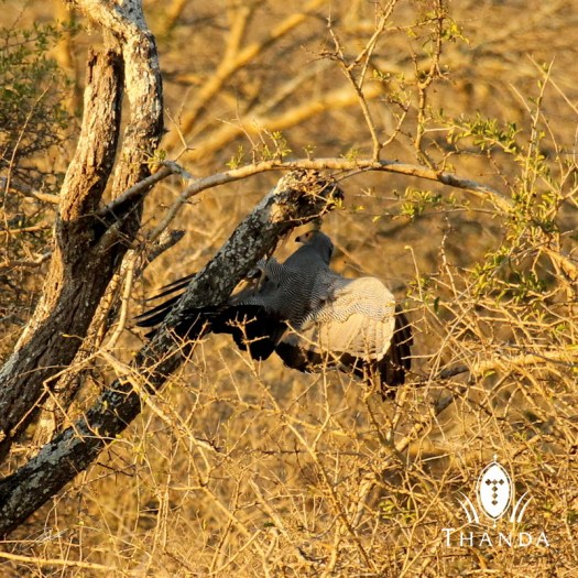 20130731 - CS3_0494 - E - SIG