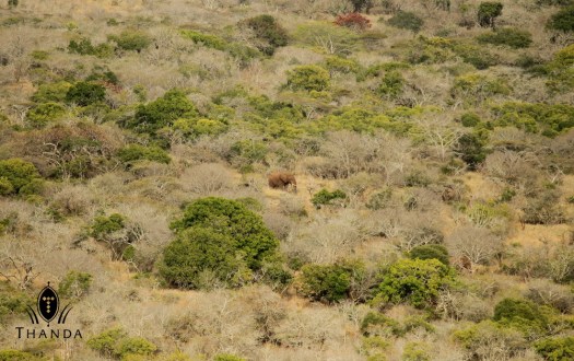 20130802 - CS3_0849 - E - SIG