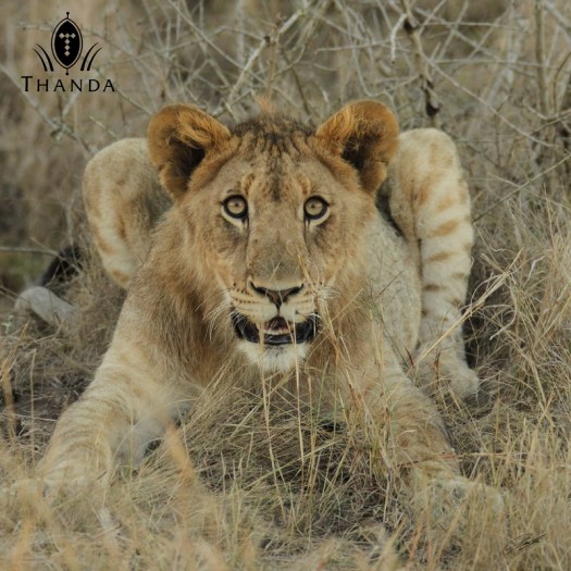 20130803 - CS3_1404 - E - SIG