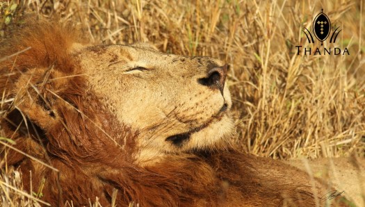 20130805 - CS3_1702 - E - SIG