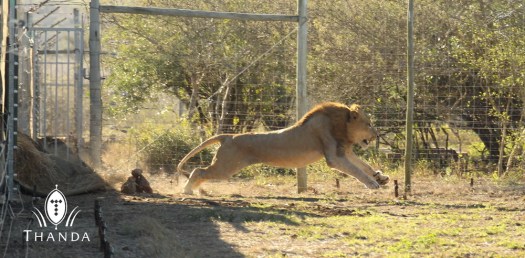 20130806 - CS3_2244 - E - SIG