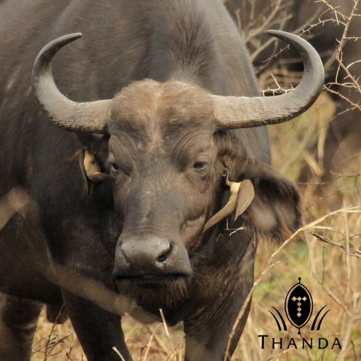 20130812 - CS3_3480 - E - SIG