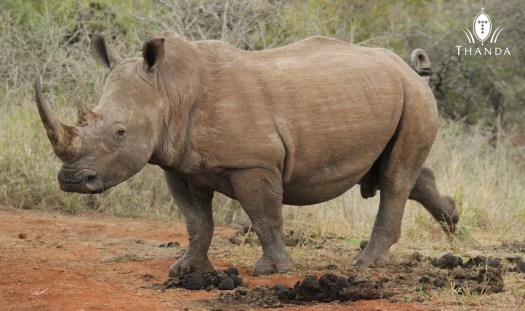 20130815 - CS3_3930 - E - SIG