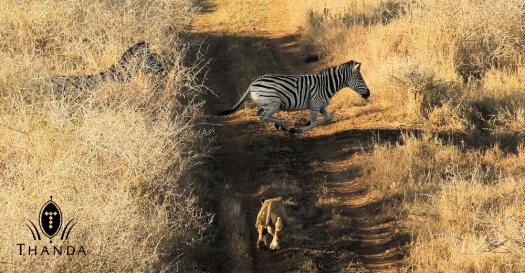 20130816 - CS3_4006 - E - SIG