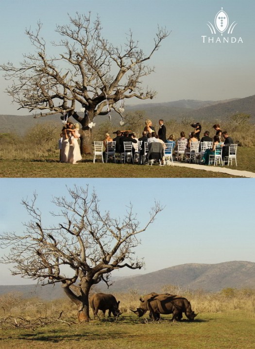 20130817 - Collage 1616 B