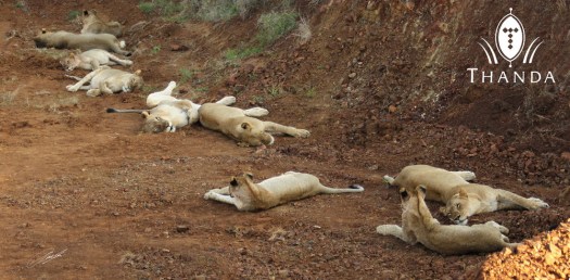 20130819 - CS3_4846 - E - SIG