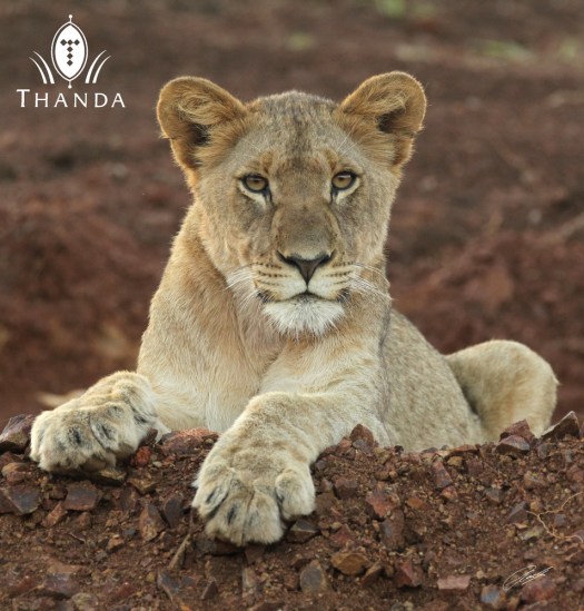 20130819 - CS3_4990 - E - SIG