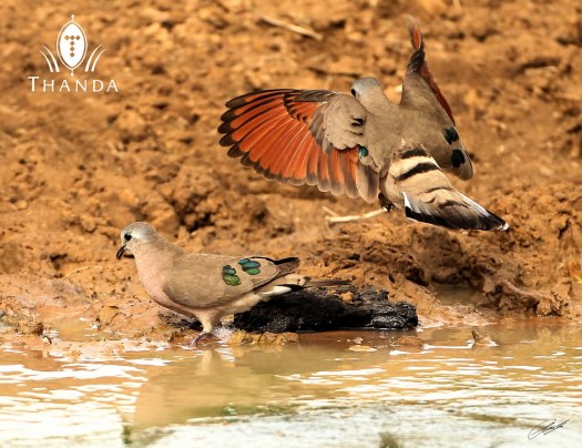 20130822 - CS2_1258 - E - SIG