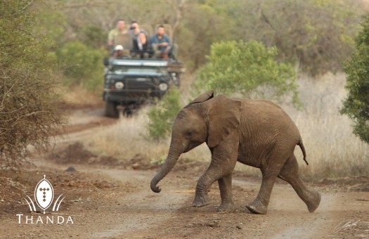 20130829 - CS3_6147 - E - SIG