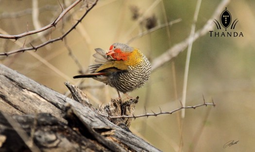 20130815 - CS3_3850 - E - SIG