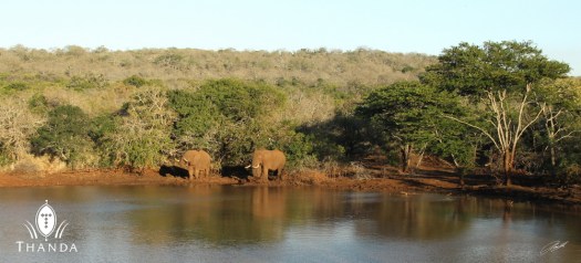 20130817 - CS3_4231 - E - SIG