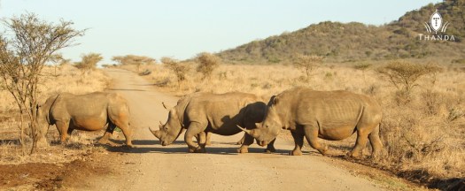 20130902 - CS3_7079 - E - SIG