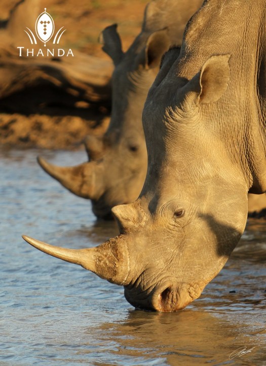 20130902 - CS3_7102 - E - SIG