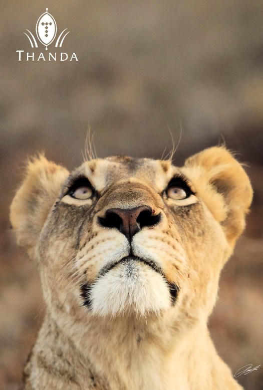 20130904 - CS3_7856 - E - SIG