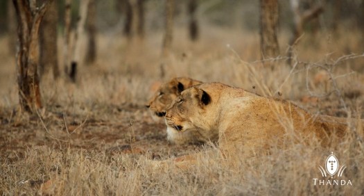 20130904 - CS3_7899 - E - SIG