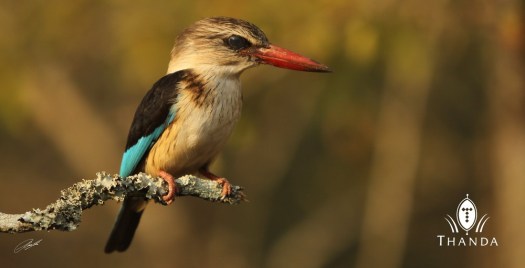 20130905 - CS3_8161 - E - SIG