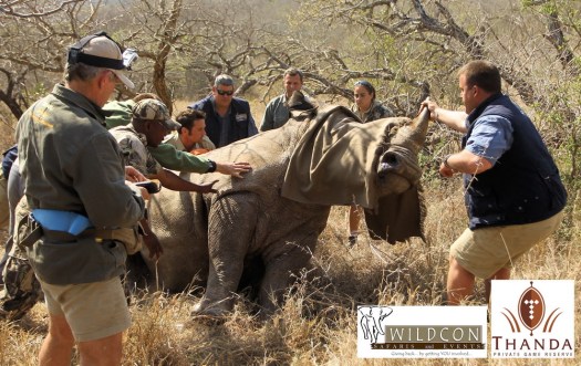 20130908 - CS3_8554 - E - SIG