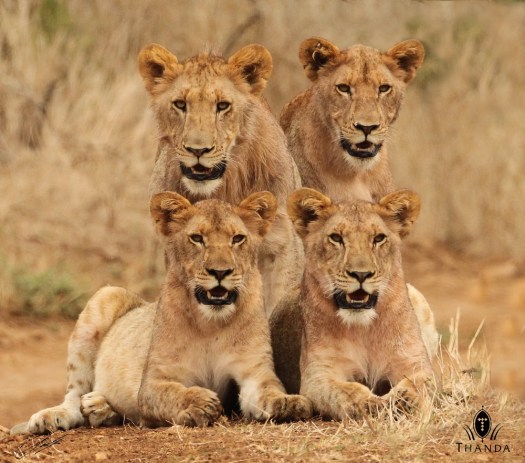 20130926 - CS2_2042 - E - SIG