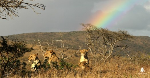 20130930 - CS3_9237 - E - SIG