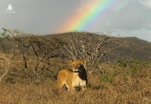 20130930 - CS3_9241 - E - SIG