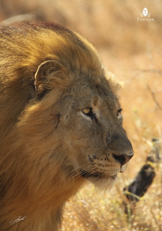 20130930 - CS3_9305 - E