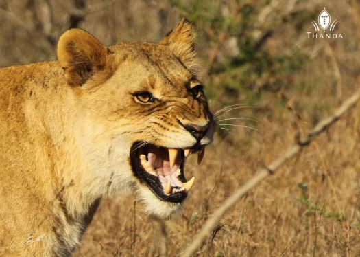 20130930 - CS3_9318 - E