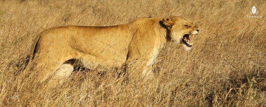 20130930 - CS3_9337 - E - SIG