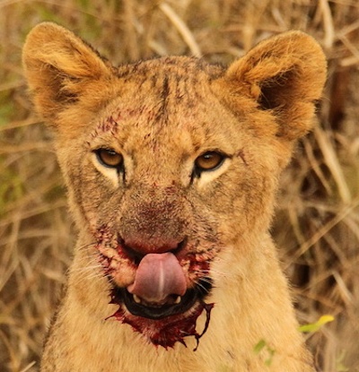 20130510 - CS2_9147 - NW