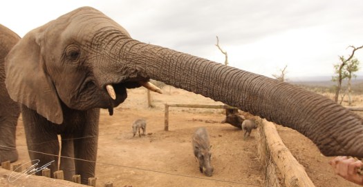 20130904 - CS1_0615 - E - SIG