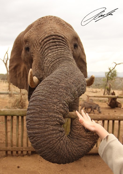 20130904 - CS1_0629 - E - 150