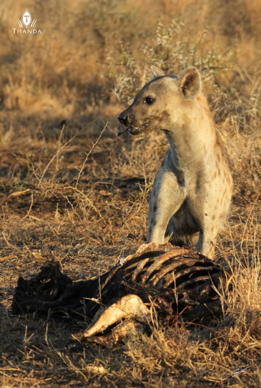 20131001 - CS3_9572 - E - SIG