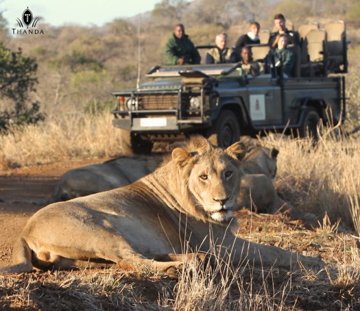 20131003 - CS1_9755 - E - SIG