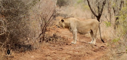 20131006 - CS1_0331 - E - SIG