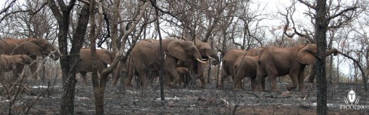 20131006 - CS1_0393 - E - SIG