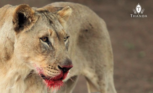 20131009 - CS1_0552 - E - SIG