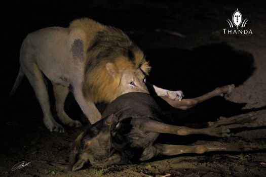 20131009 - CS1_0707 - E - SIG