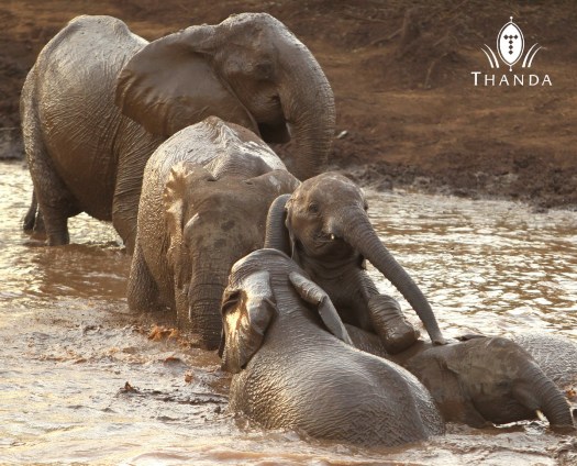 20131011 - CS1_1143 - E - SIG