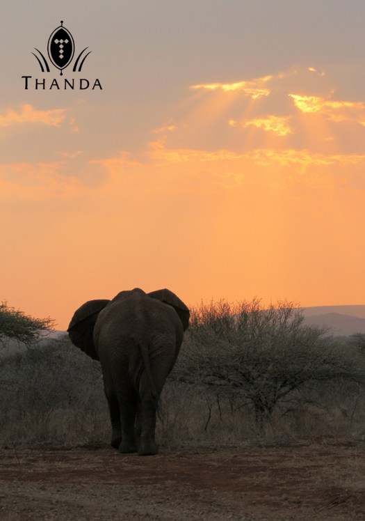 20131013 - CS1_1293 - E - SIG