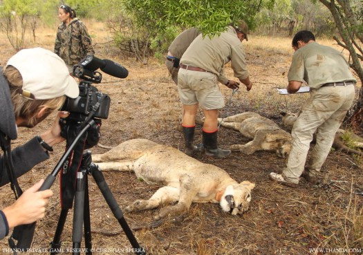 20131021 - CS3_1639 - E - THANDA