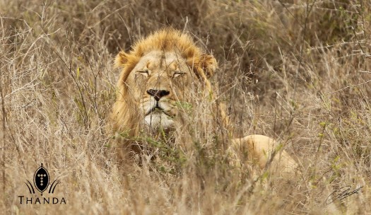 20131023 - CS1_1842 - E - SIG