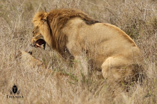 20131023 - CS1_1877 - E - SIG