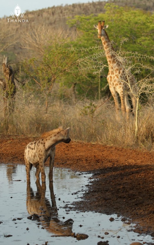 20131024 - CS1_1939 - E - SIG