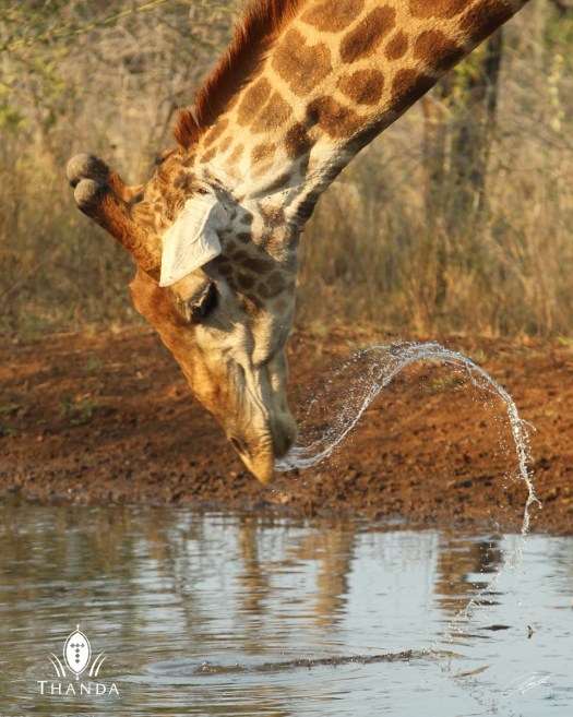 20131024 - CS1_1986 - E - SIG