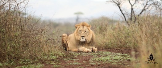 20131030 - CS1_2844 - E - SIG