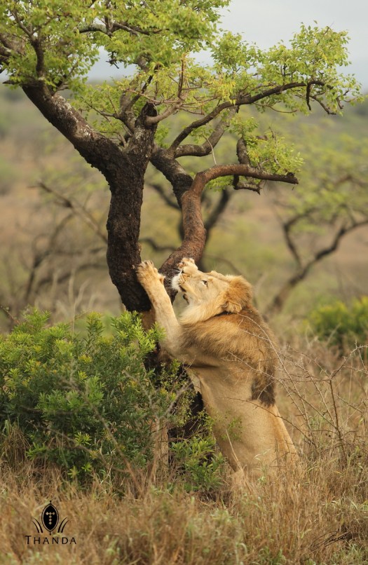 20131030 - CS1_2858 - E - SIG