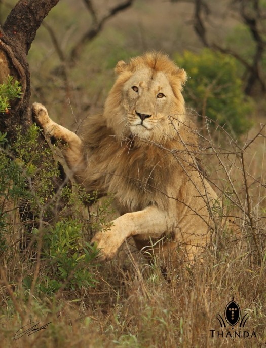 20131030 - CS1_2866 - E  - SIG