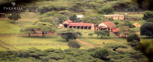 20131207 - CS2_6165 - E - SIG